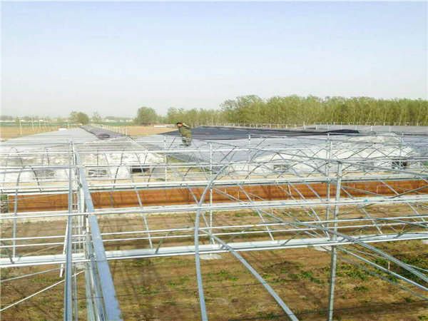 購買大棚骨架需要注意什么？